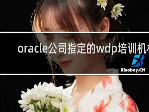 oracle公司指定的wdp培训机构