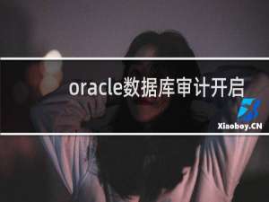 oracle数据库审计开启