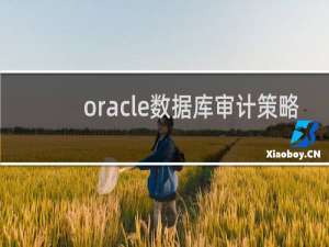 oracle数据库审计策略