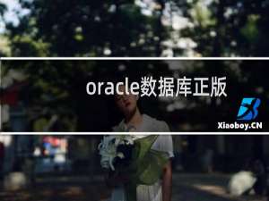 oracle数据库正版