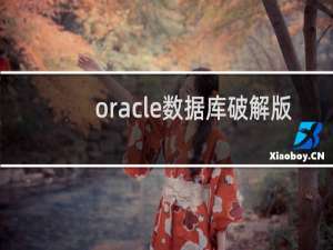 oracle数据库破解版