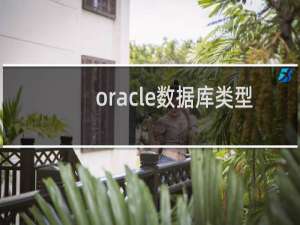 oracle数据库类型