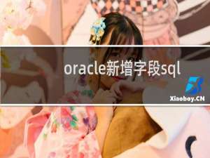oracle新增字段sql