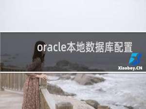 oracle本地数据库配置