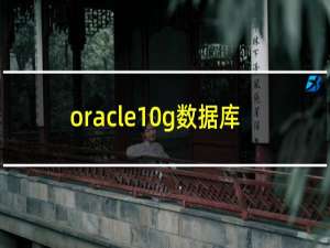 oracle10g数据库