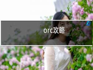 orc攻略