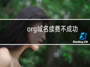 org域名续费不成功-域名及账户问题