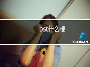 ost什么梗