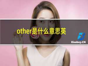 other是什么意思英文