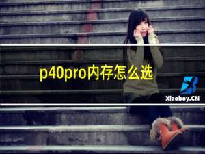 p40pro内存怎么选