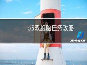 p5双胞胎任务攻略