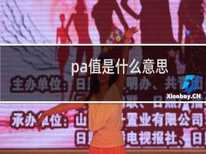 pa值是什么意思（pa值是什么意思）