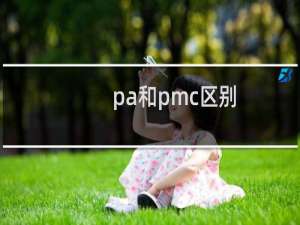 pa和pmc区别