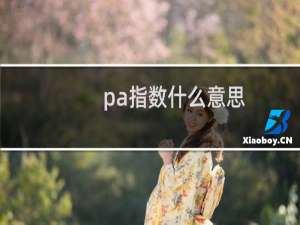 pa指数什么意思（pa值是什么意思）