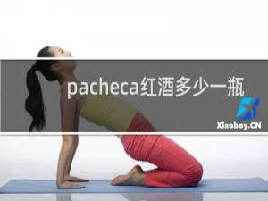 pacheca红酒多少一瓶