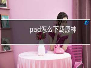 pad怎么下载原神