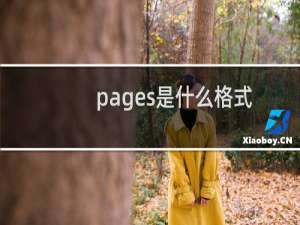 pages是什么格式文件（pages是什么软件）