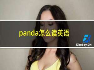 panda怎么读英语
