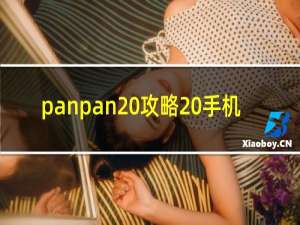 panpan 攻略 手机