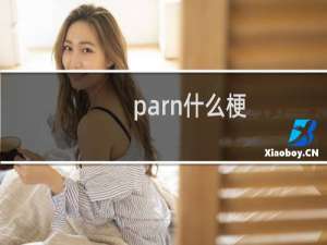 parn什么梗