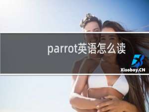 parrot英语怎么读