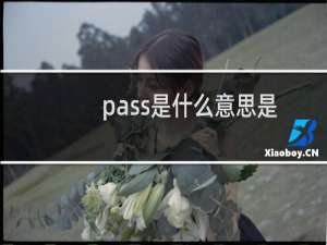 pass是什么意思是拒绝吗（PASS是什么意思）
