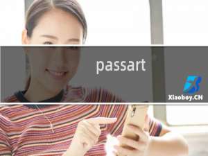 passart.cn 域名备案是否在咱们这里