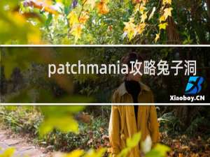 patchmania攻略兔子洞