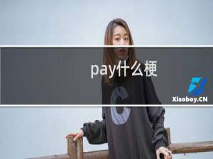 pay什么梗