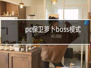 pc保卫萝卜boss模式