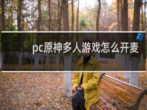 pc原神多人游戏怎么开麦