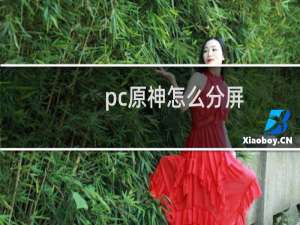 pc原神怎么分屏