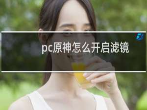 pc原神怎么开启滤镜