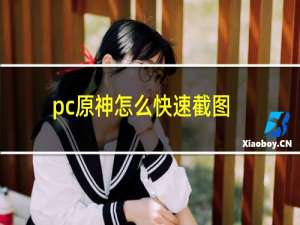 pc原神怎么快速截图