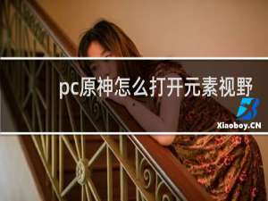 pc原神怎么打开元素视野