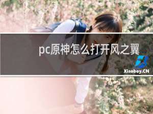 pc原神怎么打开风之翼
