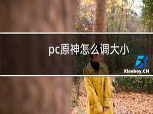 pc原神怎么调大小