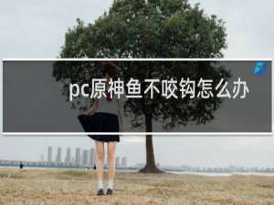 pc原神鱼不咬钩怎么办