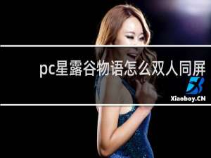 pc星露谷物语怎么双人同屏