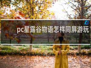 pc星露谷物语怎样同屏游玩