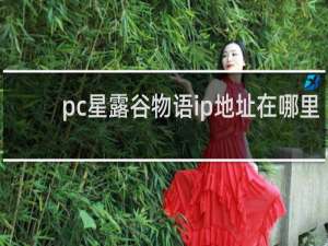 pc星露谷物语ip地址在哪里