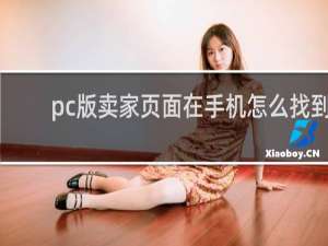 pc版卖家页面在手机怎么找到