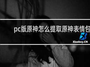 pc版原神怎么提取原神表情包