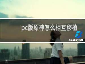 pc版原神怎么相互移植