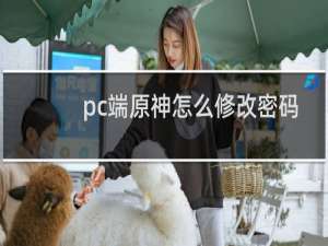 pc端原神怎么修改密码