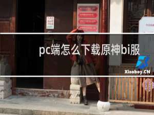 pc端怎么下载原神bi服