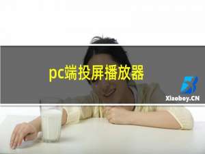 pc端投屏播放器