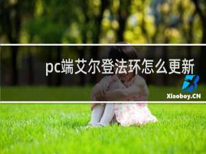 pc端艾尔登法环怎么更新