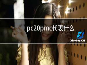 pc pmc代表什么