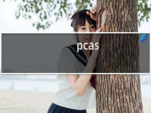 pcas.exe是什么进程